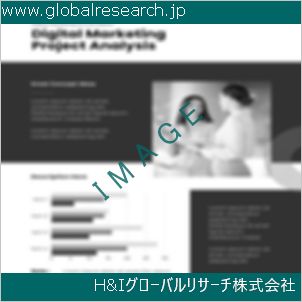 グローバルリサーチ調査資料のイメージ